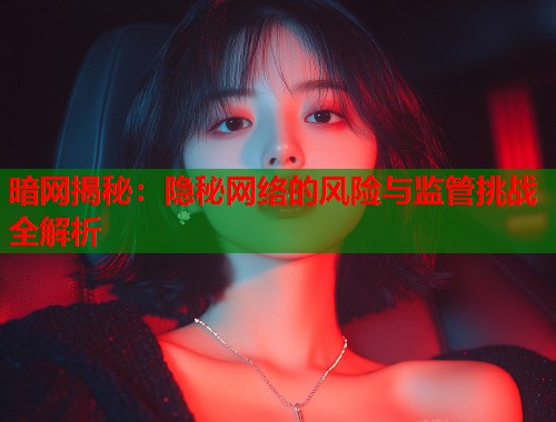 暗网揭秘:隐秘网络的风险与监管挑战全解析 第1张 暗网揭秘:隐秘网络的风险与监管挑战全解析 第1张