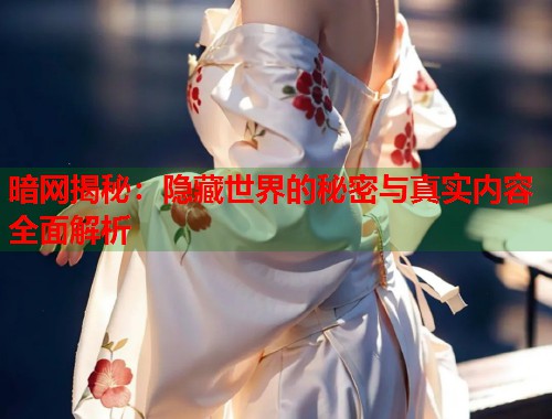 暗网揭秘：隐藏世界的秘密与真实内容全面解析  第1张