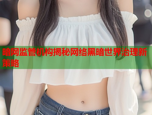 暗网监管机构揭秘网络黑暗世界治理新策略 第2张 暗网监管机构揭秘网络黑暗世界治理新策略 第2张