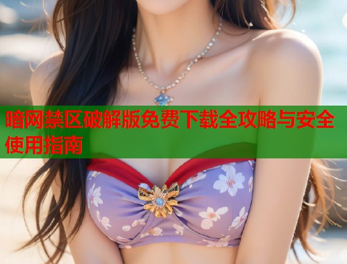 暗网禁区破解版免费下载全攻略与安全使用指南