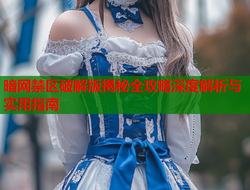 暗网禁区破解版揭秘全攻略深度解析与实用指南