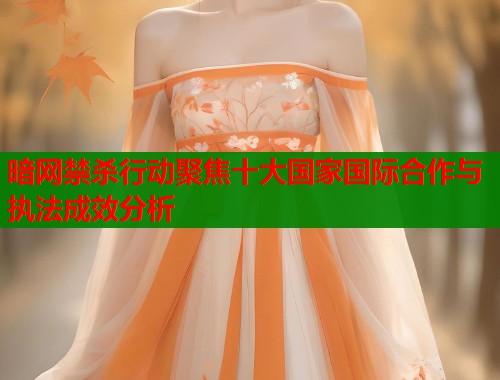 暗网禁杀行动聚焦十大国家国际合作与执法成效分析  第1张