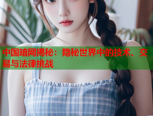 中国暗网揭秘：隐秘世界中的技术、交易与法律挑战