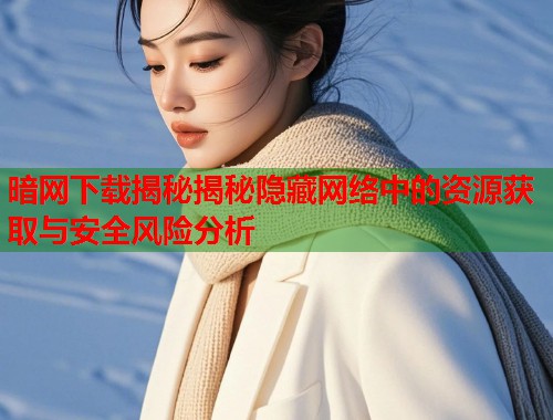 暗网下载揭秘揭秘隐藏网络中的资源获取与安全风险分析