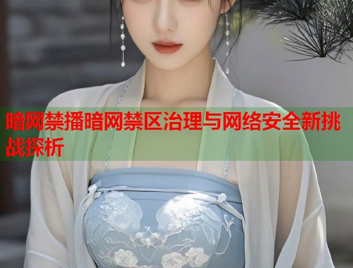 暗网禁播暗网禁区治理与网络安全新挑战探析  第2张