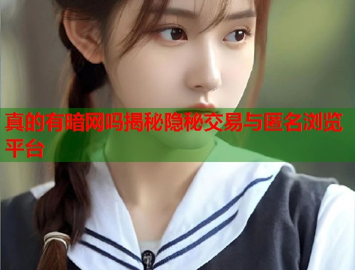 真的有暗网吗揭秘隐秘交易与匿名浏览平台 第2张 真的有暗网吗揭秘隐秘交易与匿名浏览平台 第2张