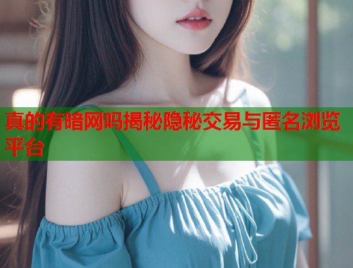 真的有暗网吗揭秘隐秘交易与匿名浏览平台 第1张 真的有暗网吗揭秘隐秘交易与匿名浏览平台 第1张