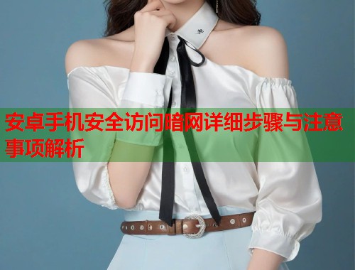 安卓手机安全访问暗网详细步骤与注意事项解析 第1张 安卓手机安全访问暗网详细步骤与注意事项解析 第1张