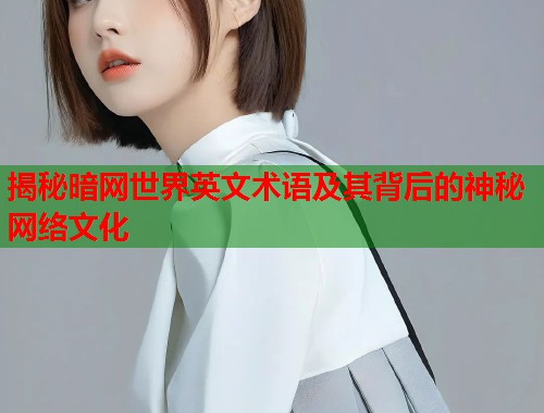 揭秘暗网世界英文术语及其背后的神秘网络文化 第2张 揭秘暗网世界英文术语及其背后的神秘网络文化 第2张