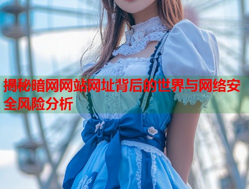 揭秘暗网网站网址背后的世界与网络安全风险分析 第1张 揭秘暗网网站网址背后的世界与网络安全风险分析 第1张