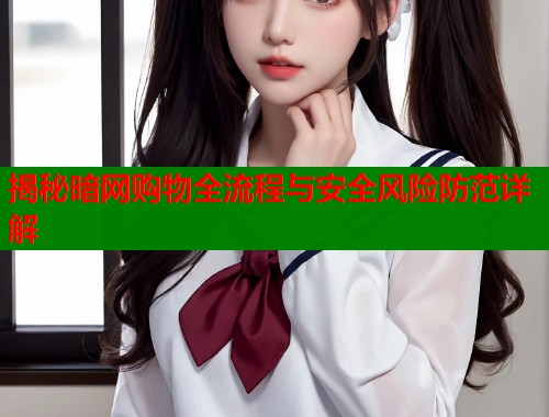 揭秘暗网购物全流程与安全风险防范详解 第2张 揭秘暗网购物全流程与安全风险防范详解 第2张