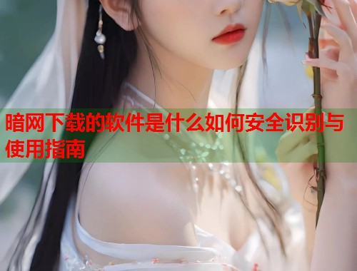 暗网下载的软件是什么如何安全识别与使用指南 第1张 暗网下载的软件是什么如何安全识别与使用指南 第1张