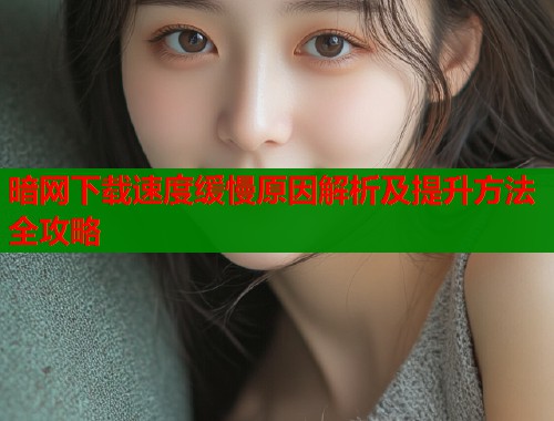 暗网下载速度缓慢原因解析及提升方法全攻略 第2张 暗网下载速度缓慢原因解析及提升方法全攻略 第2张