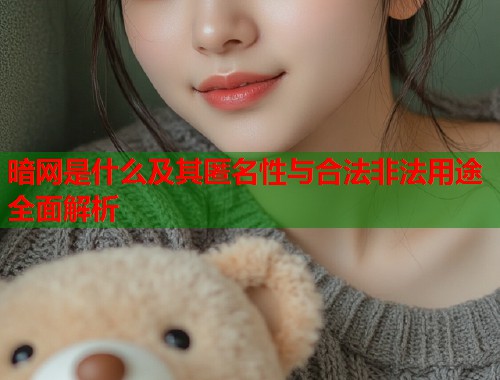 暗网是什么及其匿名性与合法非法用途全面解析 第1张 暗网是什么及其匿名性与合法非法用途全面解析 第1张