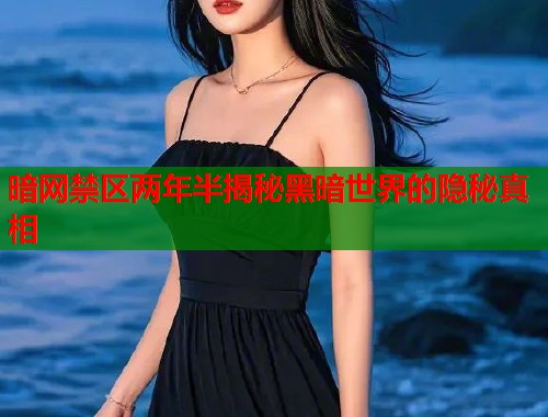 暗网禁区两年半揭秘黑暗世界的隐秘真相 第1张 暗网禁区两年半揭秘黑暗世界的隐秘真相 第1张