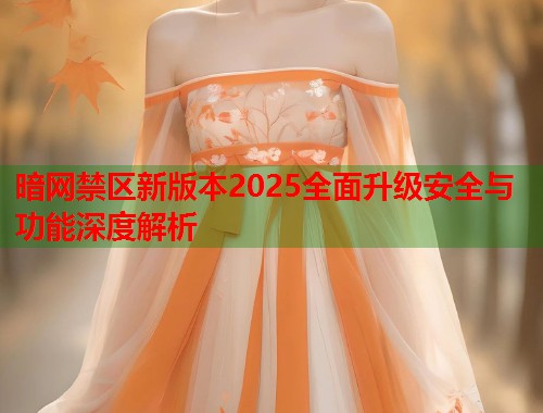 暗网禁区新版本2025全面升级安全与功能深度解析