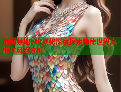暗网禁地VIP揭秘深度探索隐秘世界真相与风险分析  第1张