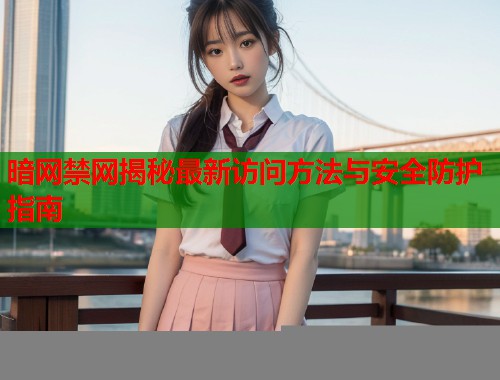 暗网禁网揭秘最新访问方法与安全防护指南