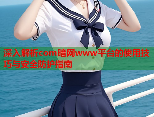 深入解析com暗网www平台的使用技巧与安全防护指南