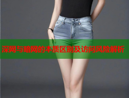 深网与暗网的本质区别及访问风险解析 第2张 深网与暗网的本质区别及访问风险解析 第2张