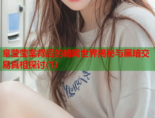 章莹莹案背后的暗网世界揭秘与黑暗交易真相探讨(1) 第2张 章莹莹案背后的暗网世界揭秘与黑暗交易真相探讨(1) 第2张