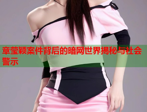 章莹颖案件背后的暗网世界揭秘与社会警示