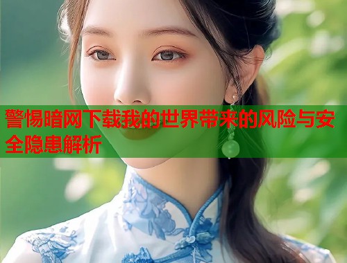 警惕暗网下载我的世界带来的风险与安全隐患解析