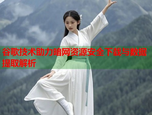 谷歌技术助力暗网资源安全下载与数据提取解析