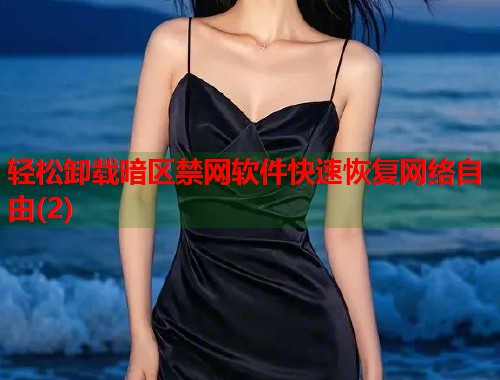 轻松卸载暗区禁网软件快速恢复网络自由(2)