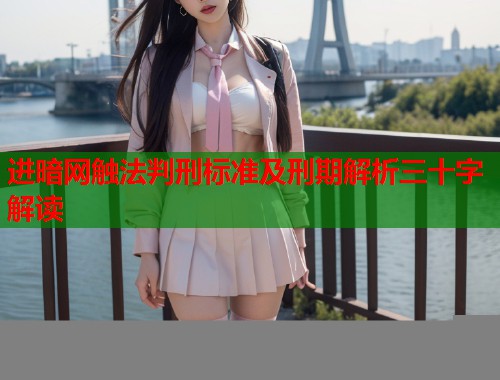 进暗网触法判刑标准及刑期解析三十字解读