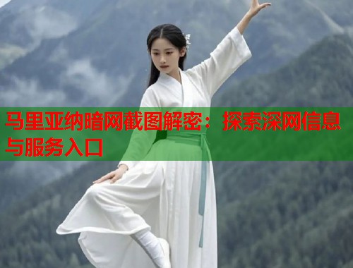 马里亚纳暗网截图解密：探索深网信息与服务入口