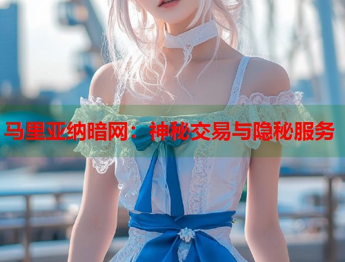 马里亚纳暗网：神秘交易与隐秘服务