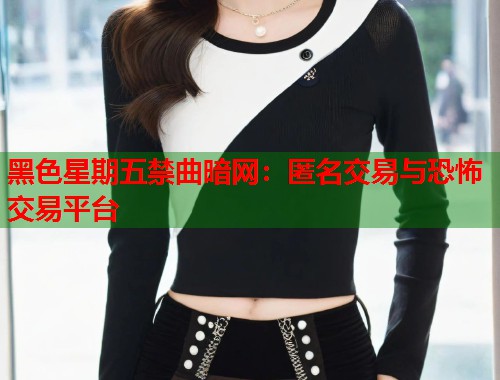 黑色星期五禁曲暗网：匿名交易与恐怖交易平台  第2张