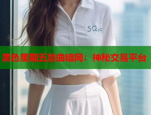 黑色星期五禁曲暗网：神秘交易平台