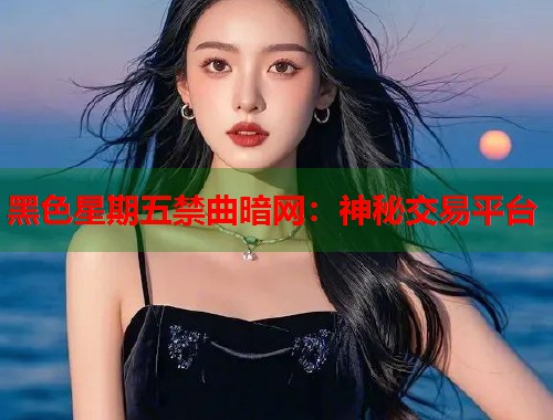 黑色星期五禁曲暗网：神秘交易平台  第2张